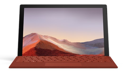 金堂清洁和维护 Surface
